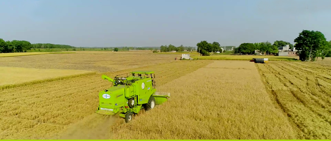 SURINDERA Harvesters